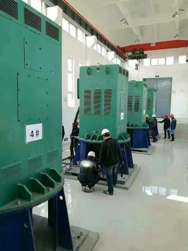 峡江某污水处理厂使用我厂的立式高压电机安装现场安装尺寸